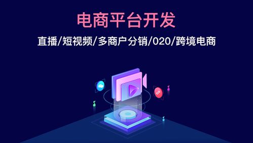 商聯達詳解 電商平臺定制開發的前景怎么樣